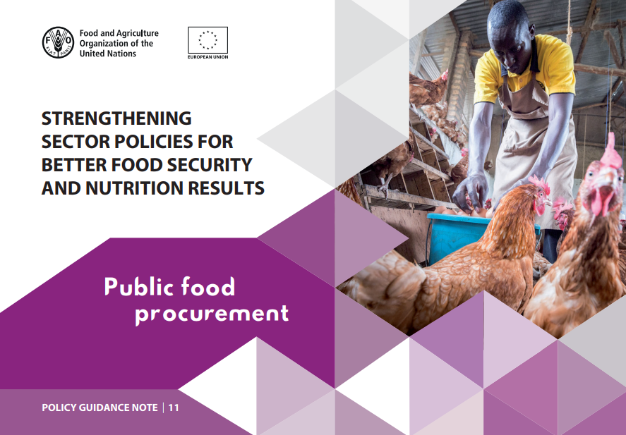 Strengthening Sector Policies for Better Food Security and Nutrition